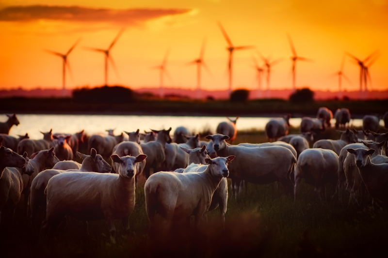 Climate Smart Farming