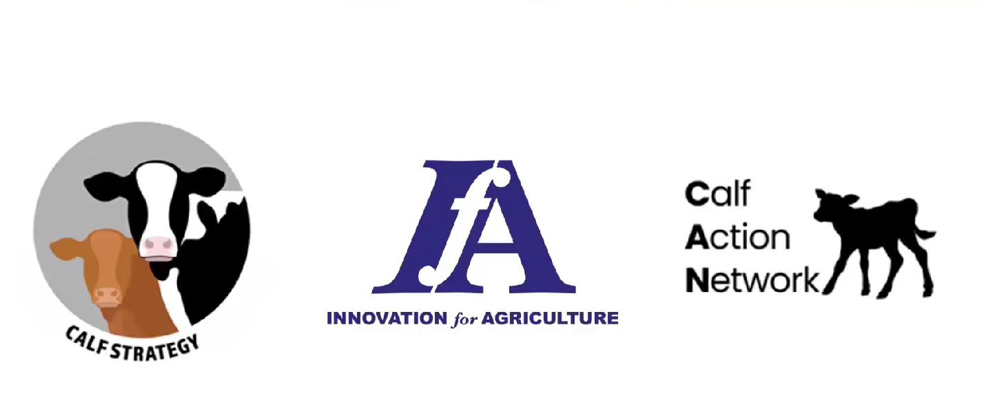 Efficient calf rearing - From research to results